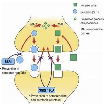 Serotoninnorepinephrinedopamine Reuptake Inhibitor All Articles Lacking Intext Citations